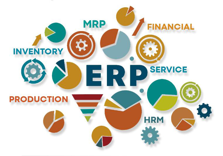 ERP Consulting